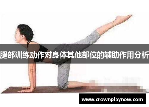 腿部训练动作对身体其他部位的辅助作用分析